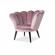 Magnolia Velvet